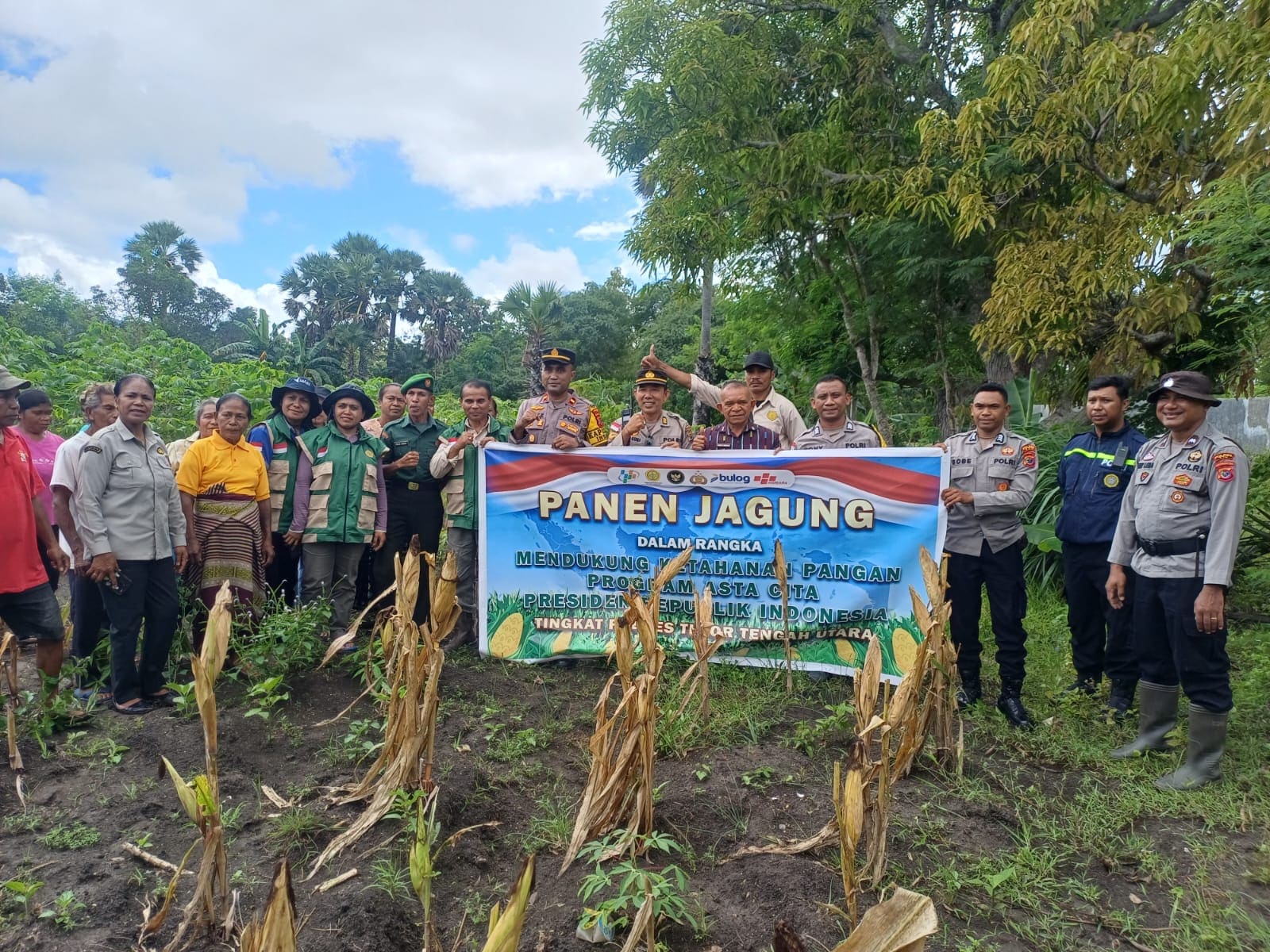 [ID] Polres TTU Gelar Panen Jagung Simbolis, Dukung Ketahanan Pangan Nasional 2026